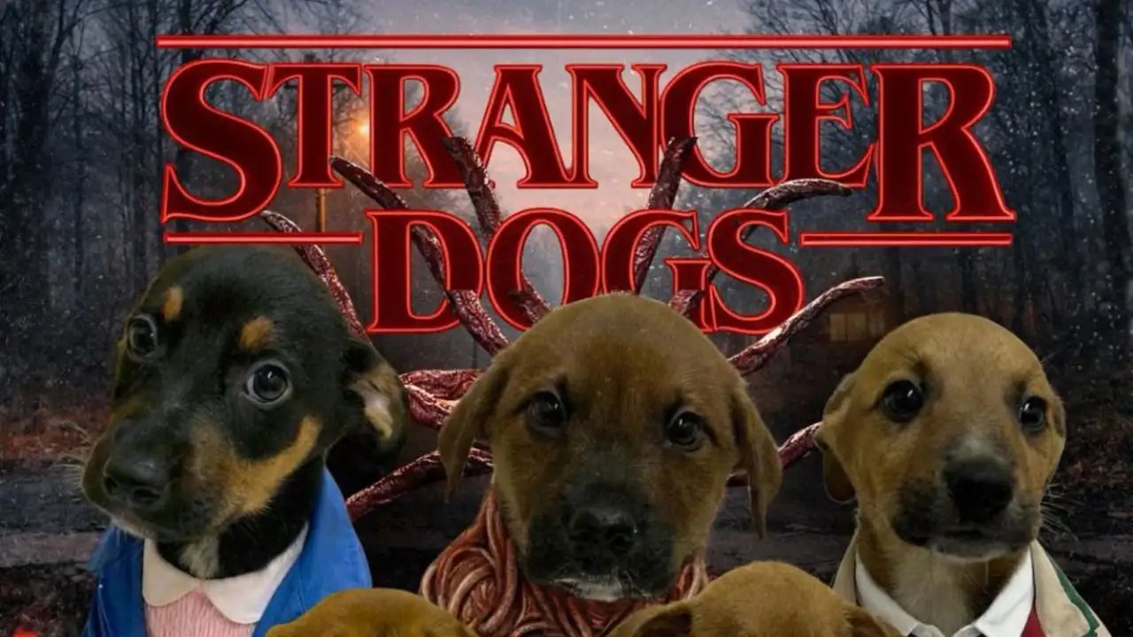 сериал, щенки, приют, усыновление, соцсети