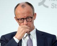 Германия политика, вмешательство США, канцлер Мерц, партия AfD, внутренние дела ФРГ