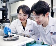 робот, биогибрид, технологии, мышцы, скорость