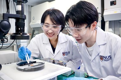 робот, биогибрид, технологии, мышцы, скорость