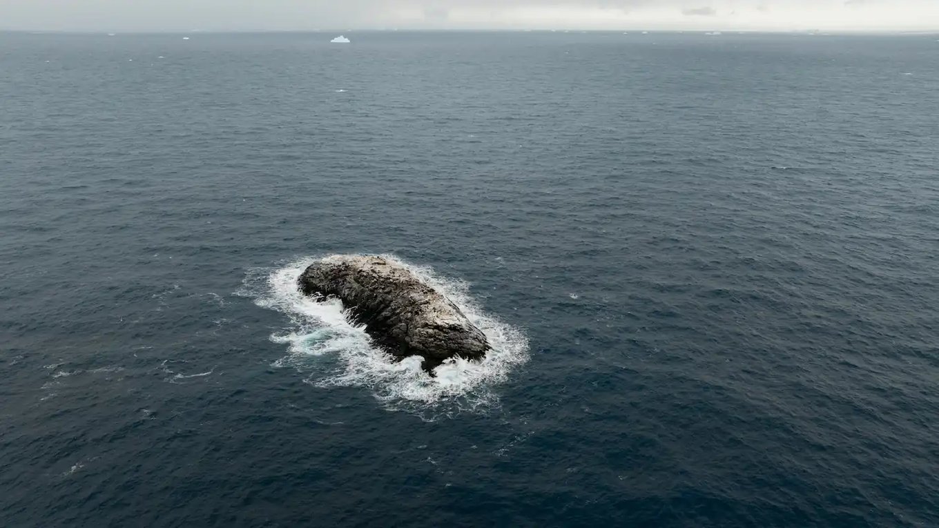 Антарктида, остров, экспедиция, ученые, открытие