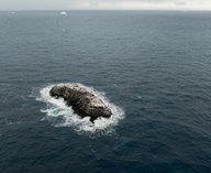 Антарктида, остров, экспедиция, ученые, открытие