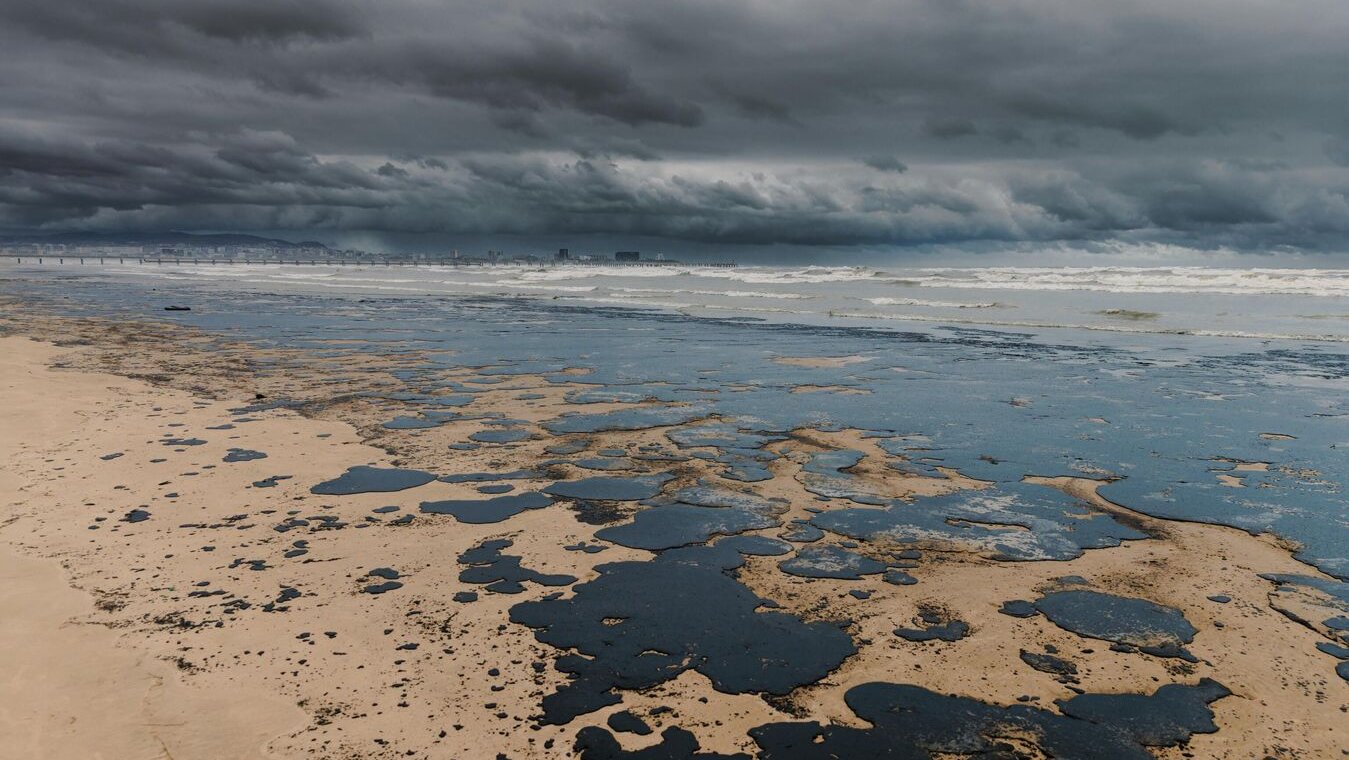 сорбент, нефть, Томск, вода, экология