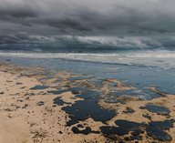 сорбент, нефть, Томск, вода, экология