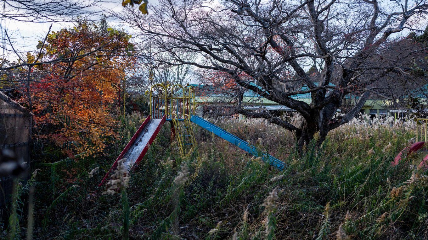 Фукусима, катастрофа, радиация, природа, Япония