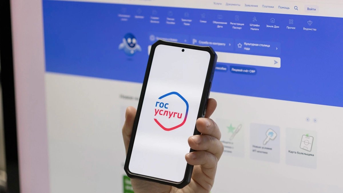 Госуслуги, сервисы, экосистема, чаты, цифровизация