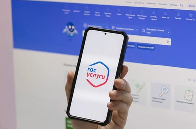 Госуслуги, сервисы, экосистема, чаты, цифровизация