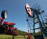 нефть, МФТИ, моделирование, добыча, алгоритм