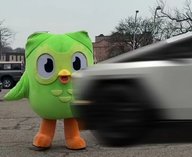 Как Duolingo «убил» сову и взорвал интернет