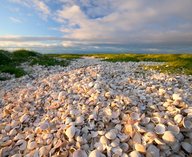 ученые, остров, Фиджи, археология, отходы