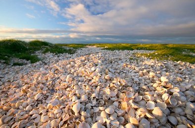 ученые, остров, Фиджи, археология, отходы