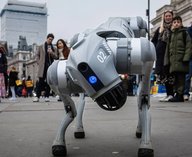 Гуадалупе, роботы, безопасность, патрулирование, Мексика