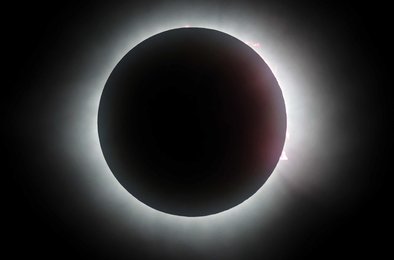 затмение, Новая Зеландия, Данидин, туризм, отели