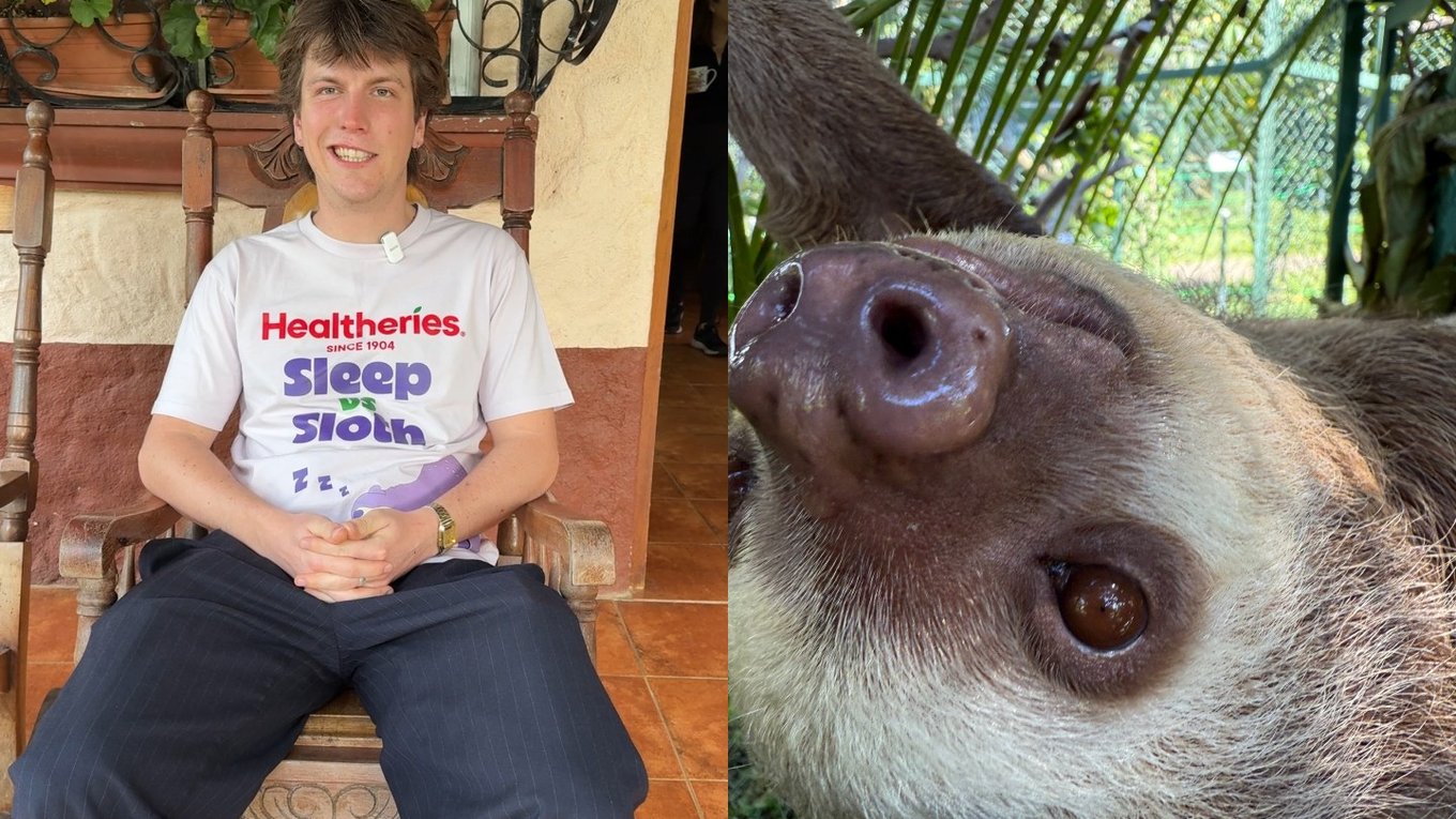 НоваяЗеландия, сон, ленивец, конкурс, бренд