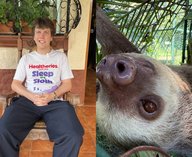 НоваяЗеландия, сон, ленивец, конкурс, бренд