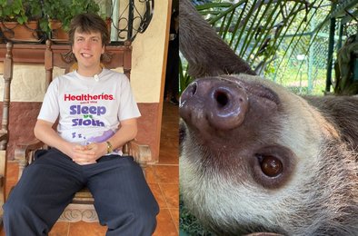 НоваяЗеландия, сон, ленивец, конкурс, бренд