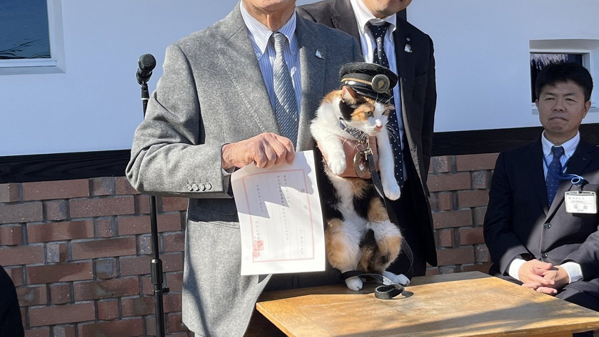 Япония, кошка, железнаядорога, станция, Тама