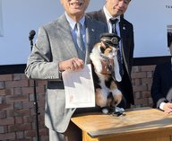 Япония, кошка, железнаядорога, станция, Тама