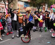 Боливия, протест, клоуны, образование, экономика