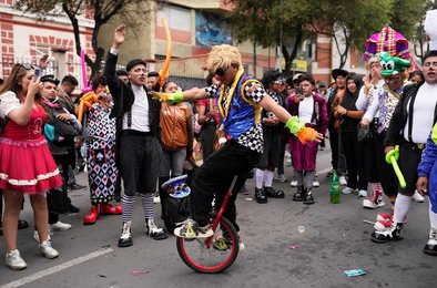 Боливия, протест, клоуны, образование, экономика