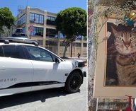 Waymo, доверие, трагедия, кот