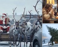 McDonalds, реклама, искусственныйинтеллект, критика, видео