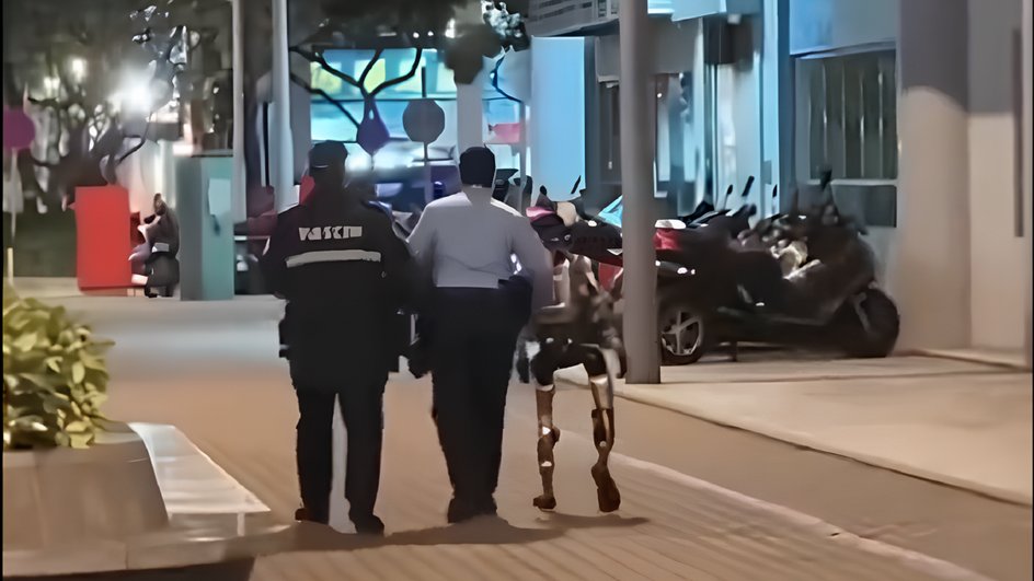 робот, женщина, полиция, Китай, инцидент-mUXXINovofOBNS_jmjs