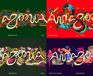 амазония, бренд, туризм, бразилия, айдентика