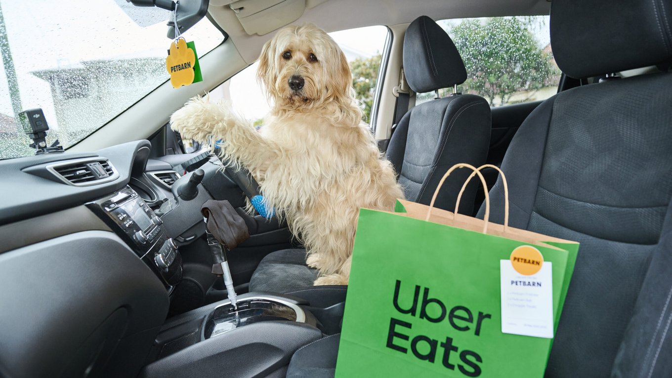 собака-курьер Uber Eats, доставка товаров для животных, Petbarn и Uber Eats партнерство, необычная маркетинговая акция, собака-водитель в рекламе