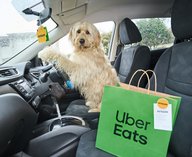 собака-курьер Uber Eats, доставка товаров для животных, Petbarn и Uber Eats партнерство, необычная маркетинговая акция, собака-водитель в рекламе