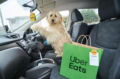 собака-курьер Uber Eats, доставка товаров для животных, Petbarn и Uber Eats партнерство, необычная маркетинговая акция, собака-водитель в рекламе