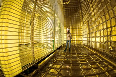 нейтрино, физика, эксперимент, криогеника, наука