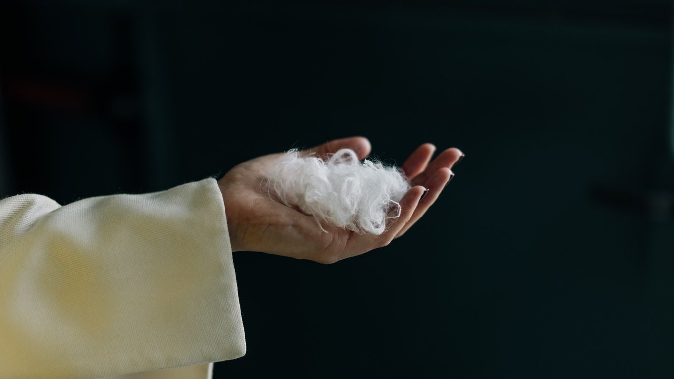 стартап, искусственныйинтеллект, волокно, кашемир, переработка