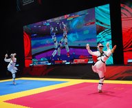 тхэквондо, виртуальный, спорт, VR, аватары