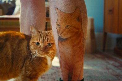 кошки, бренд, реклама, кампания, любовь