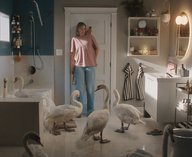 ИКЕА , реклама, гуси