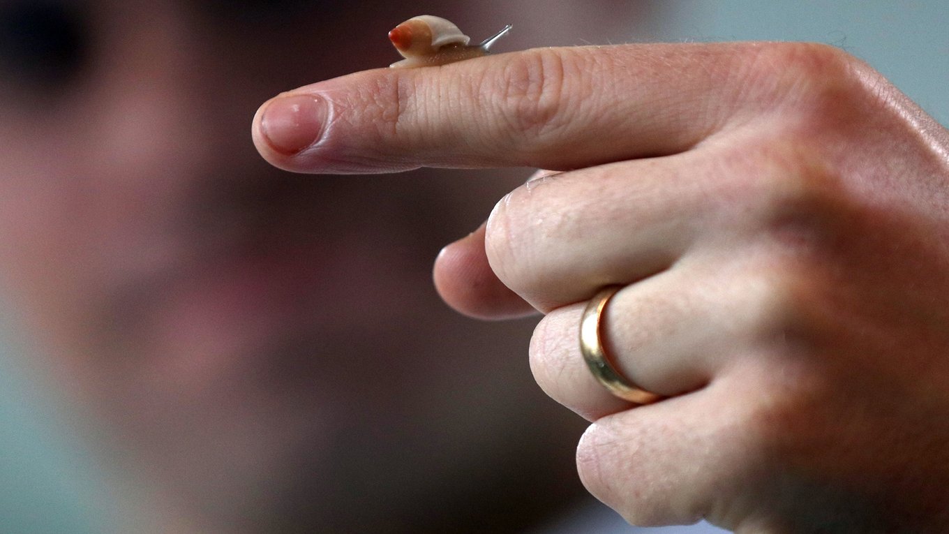 Ученые, робот, медицина