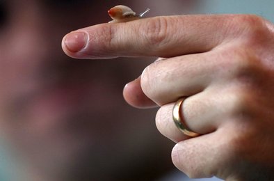 Ученые, робот, медицина