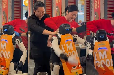 робот, ресторан, Калифорния, инцидент, технологии