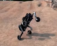 гонконг, робот, патруль, технология, инновации