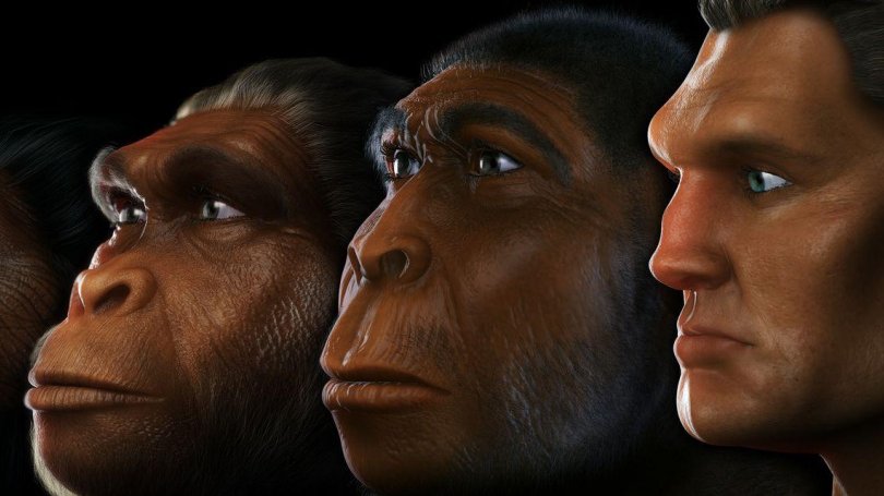 учёные, человек, Эфиопия, виды, эволюция