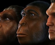 учёные, человек, Эфиопия, виды, эволюция