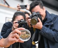 космос, бабочка, эксперимент, микрогравитация, Китай