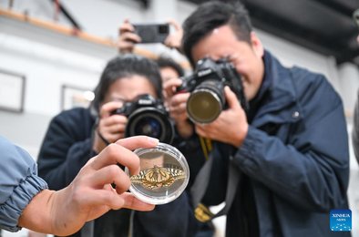 космос, бабочка, эксперимент, микрогравитация, Китай