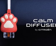 Ситроен, автомобиль, ароматизатор, стресс, животные