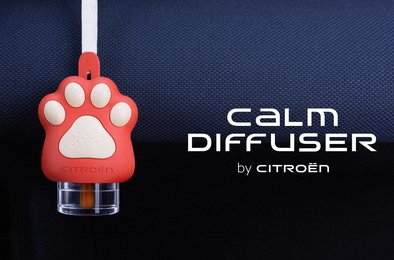 Ситроен, автомобиль, ароматизатор, стресс, животные