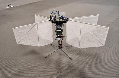 Дрон, мотылек, полет, GPS, крылья