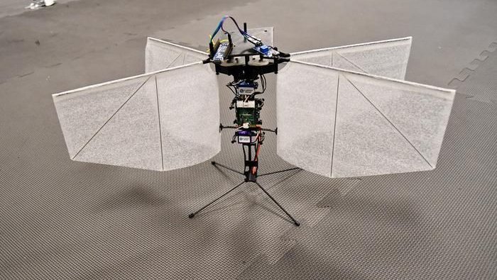 Дрон, мотылек, полет, GPS, крылья