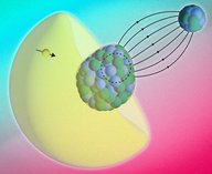 Физики, атомное ядро, электроны, MIT, магнитное поле