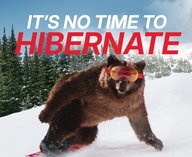 канада, олимпиада, гризли, спорт, реклама